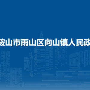 马鞍山市雨山区向山镇综合行政执法大队