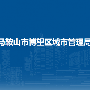 马鞍山市博望区城市管理综合行政执法大队
