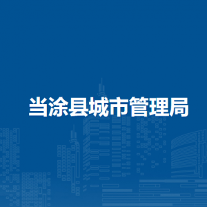 当涂县城市管理局办公室（计划财务室）