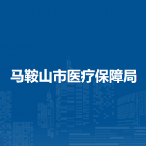 马鞍山市医疗保障基金监督管理中心（马鞍山市医疗保障信息中心）
