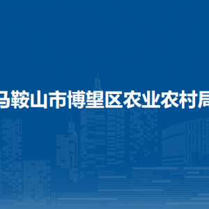 马鞍山市博望区水利服务中心