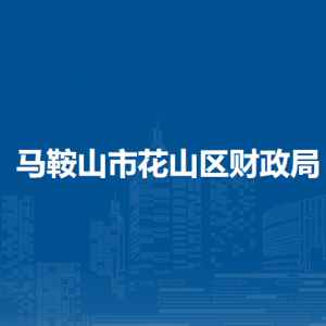 马鞍山市花山区财政局国库办