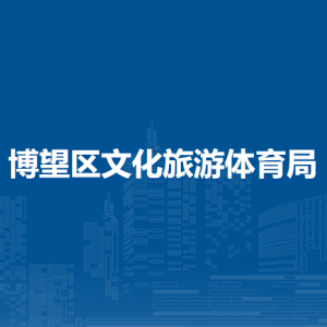 马鞍山市博望区文化馆