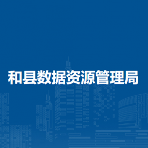 和县数据资源管理局数据资源股