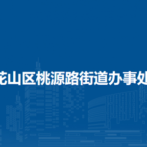 马鞍山市花山区桃源路街道党群服务中心