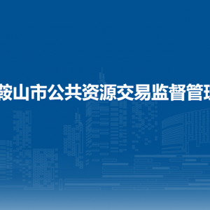 马鞍山市公共资源交易监督管理局办公室（党建工作科）
