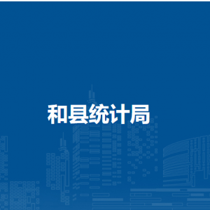 和县农村抽样调查队