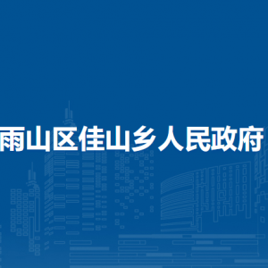 马鞍山市雨山区佳山乡党群服务中心（退役军人服务站）