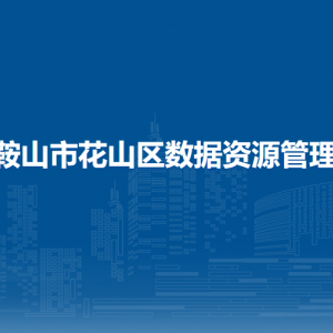 马鞍山市花山区数据资源管理局办公室