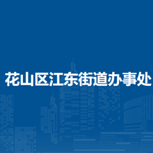 马鞍山市花山区江东街道党政综合办公室