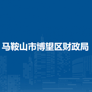 马鞍山市博望区财政局办公室
