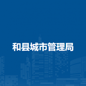 和县城市管理局法制室（行政审批股）