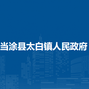 当涂县太白镇便民服务中心