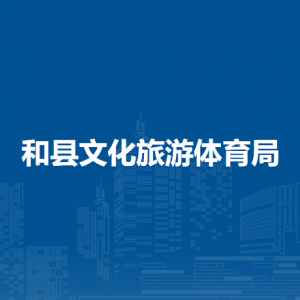 和县文化旅游体育局体育事业股