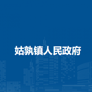 姑孰镇综合行政执法大队