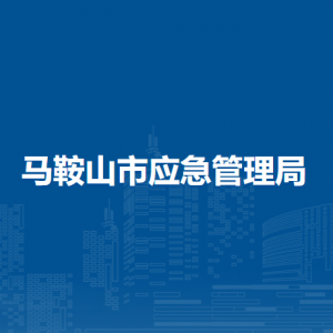 马鞍山市应急管理局调查统计科