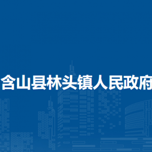 含山县林头镇镇司法所