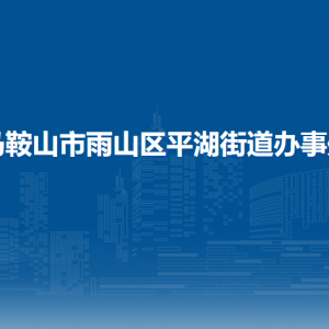 马鞍山市雨山区平湖街道党群服务中心（退役军人服务站）