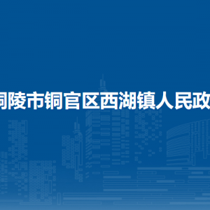 铜陵市铜官区西湖镇卫生健康服务所