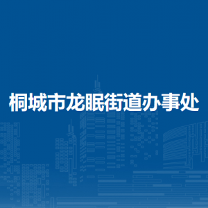 桐城市龙眠街道办事处综合行政执法大队