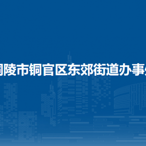 铜陵市铜官区东郊街道文化广播工作站