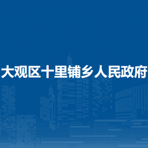 安庆市大观区 十里铺乡财政所