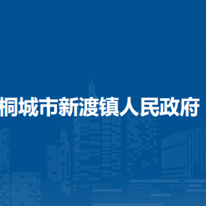 桐城市新渡镇村镇建设和生态环境保护中心