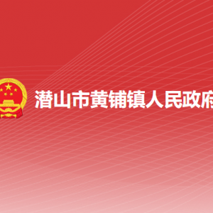 潜山市黄铺镇政府综合行政执法大队