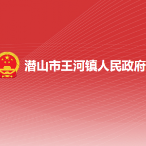 潜山市王河镇便民服务中心（退役军人服务站）