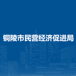 铜陵市民营经济促进局（铜陵市营商环境局）各部门负责人及联系电话