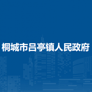 桐城市吕亭镇财政服务中心