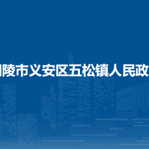 铜陵市义安区五松镇便民服务中心(镇退役军人服务站）