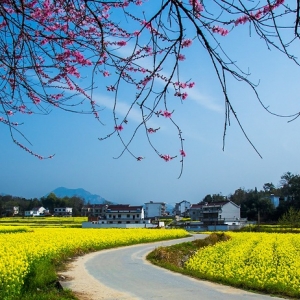 潜山市痘姆乡政府平安建设和应急管理办公室