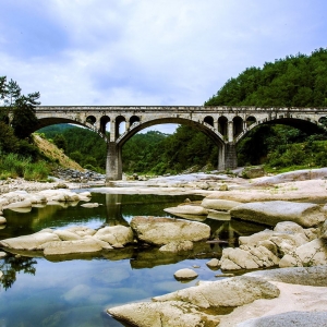 潜山市黄柏镇政府经济发展办公室