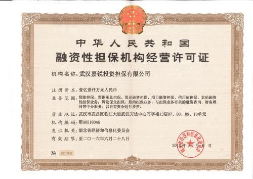 融资性担保机构经营许可证 融资性担保机构经营许可证