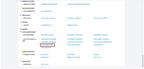 点击“涉税专业服务专项报告”