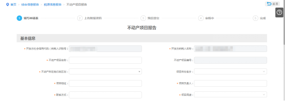 不动产项目报告信息填写
