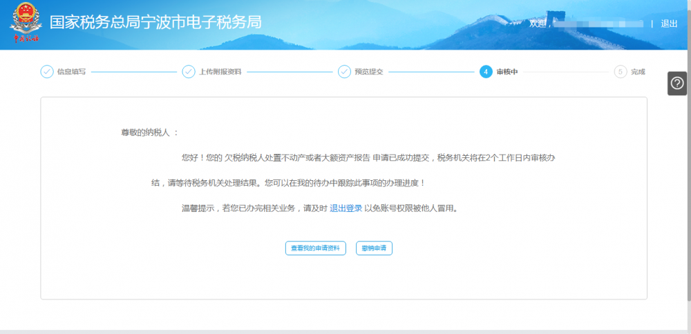 欠税纳税人处置不动产或者大额资产报告审核中