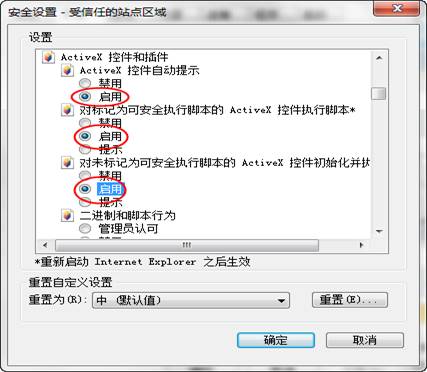 activex控件和插件所有选项设置为启用