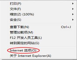 internet选项