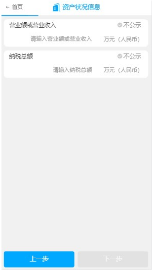 填写资产状况信息 填写资产状况信息