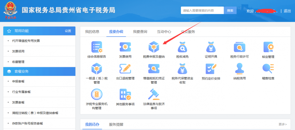 税费申报及缴纳