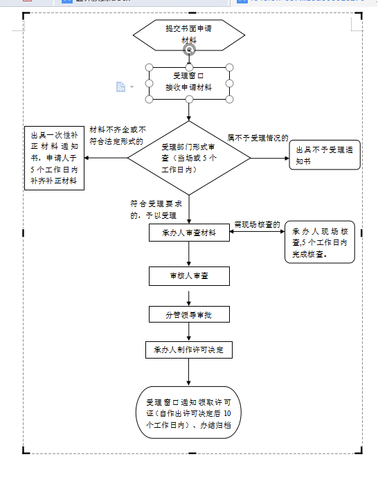 办理流程图示