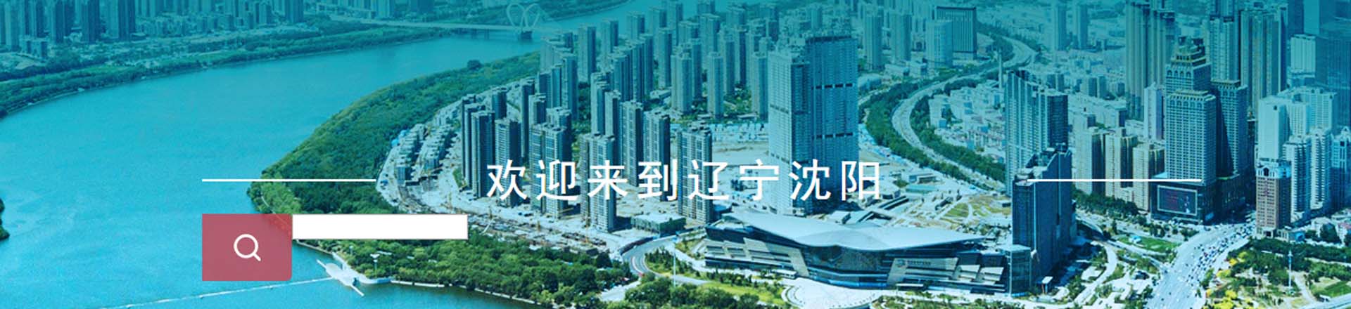 沈阳政务服务网上办事大厅