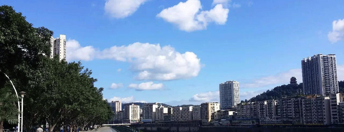 巴中市政务服务网入口