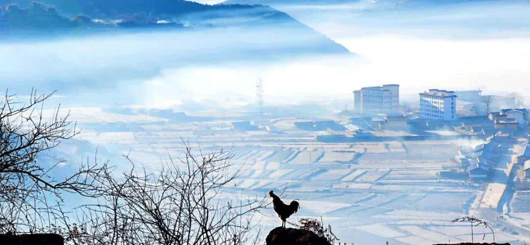 凉山政务服务网入口