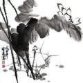 如也的个人空间
