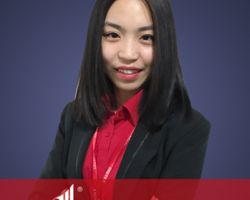 杨晶