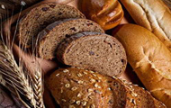 黑麦面包项目立项报告