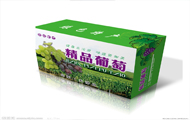 葡萄箱项目可行性研究报告